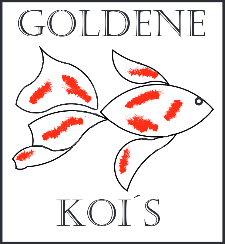 Goldene Kois